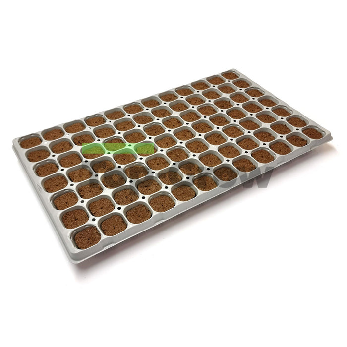 Cannsa Plug 84 Klebe Tray | Top-Grow