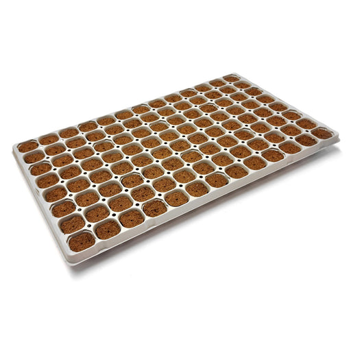 Cannsa Plug 104H Klebe Tray | Top-Grow