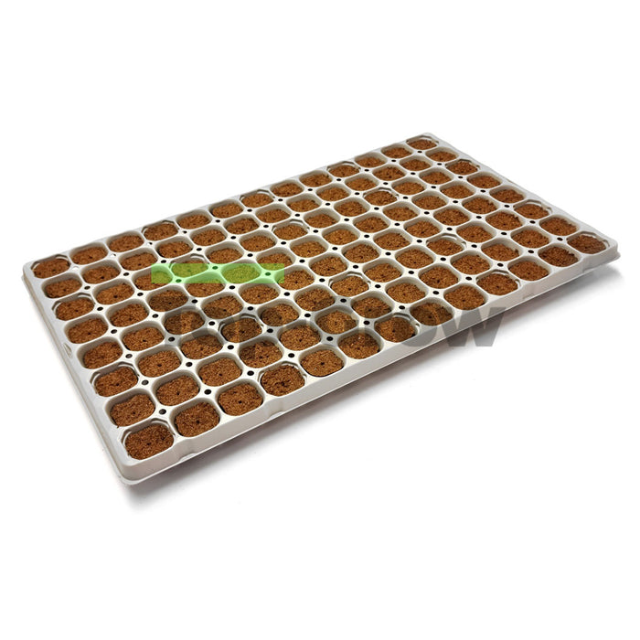 Cannsa Plug 104 Klebe Tray | Top-Grow