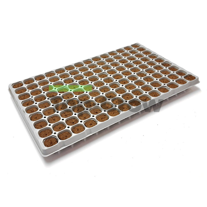 Cannsa Plug 126 Klebe Tray | Top-Grow