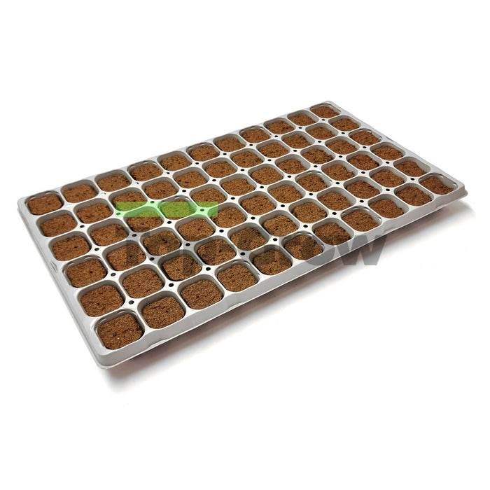 Cannsa Plug 66 Klebe Tray | Top-Grow