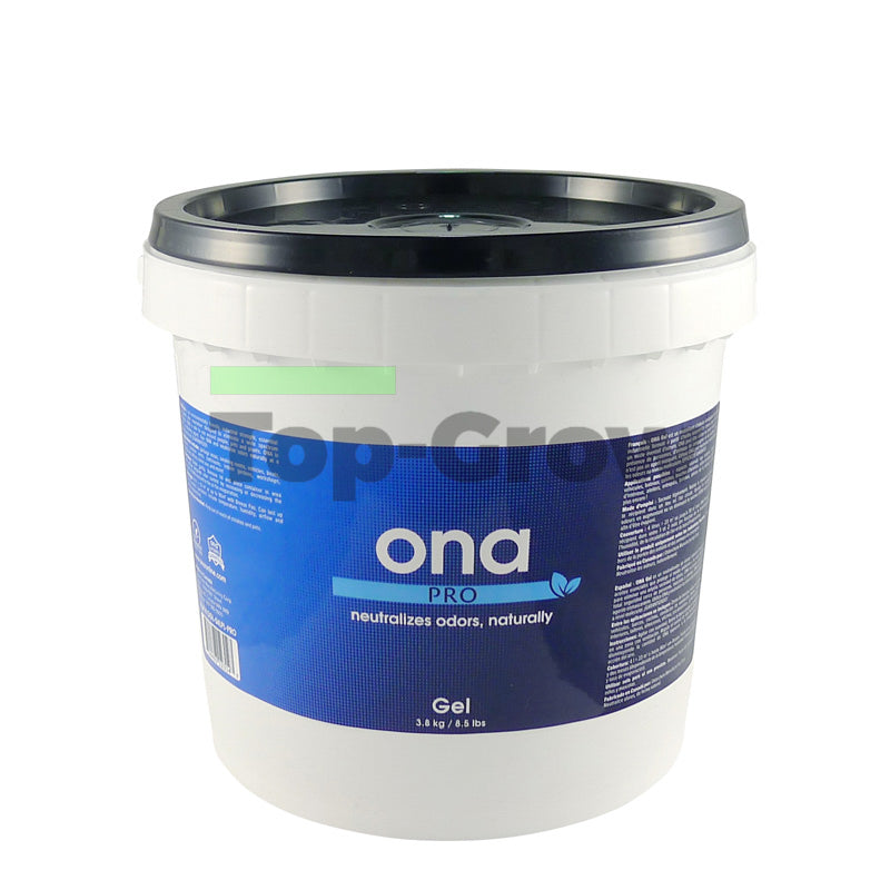 Ona